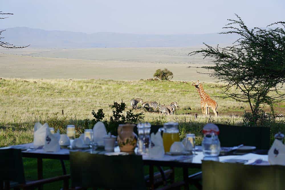 international-conservation-lewa