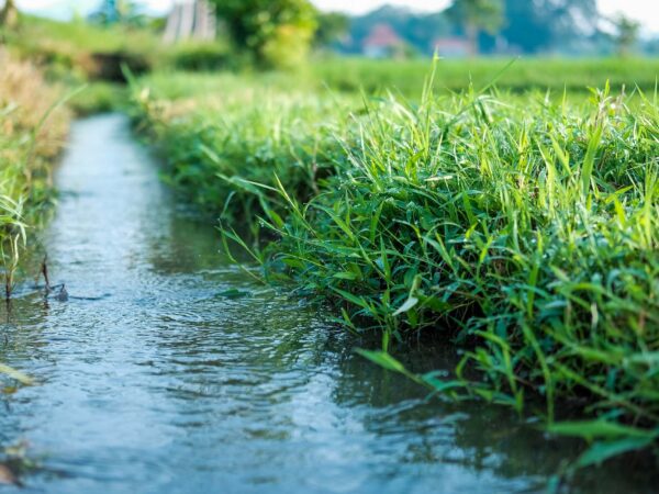 Ranch owners look to creative solutions to address water shortages