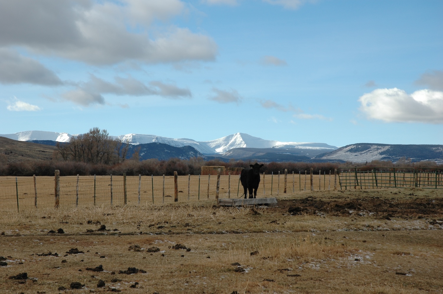 Lone Tree Ranch