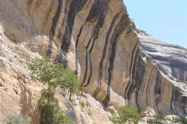 Sandstone canyon walls at Mantle Ranch