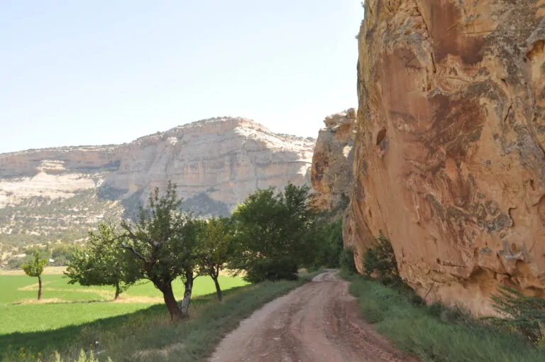 Scenic ranch road beside Mantle Ranch