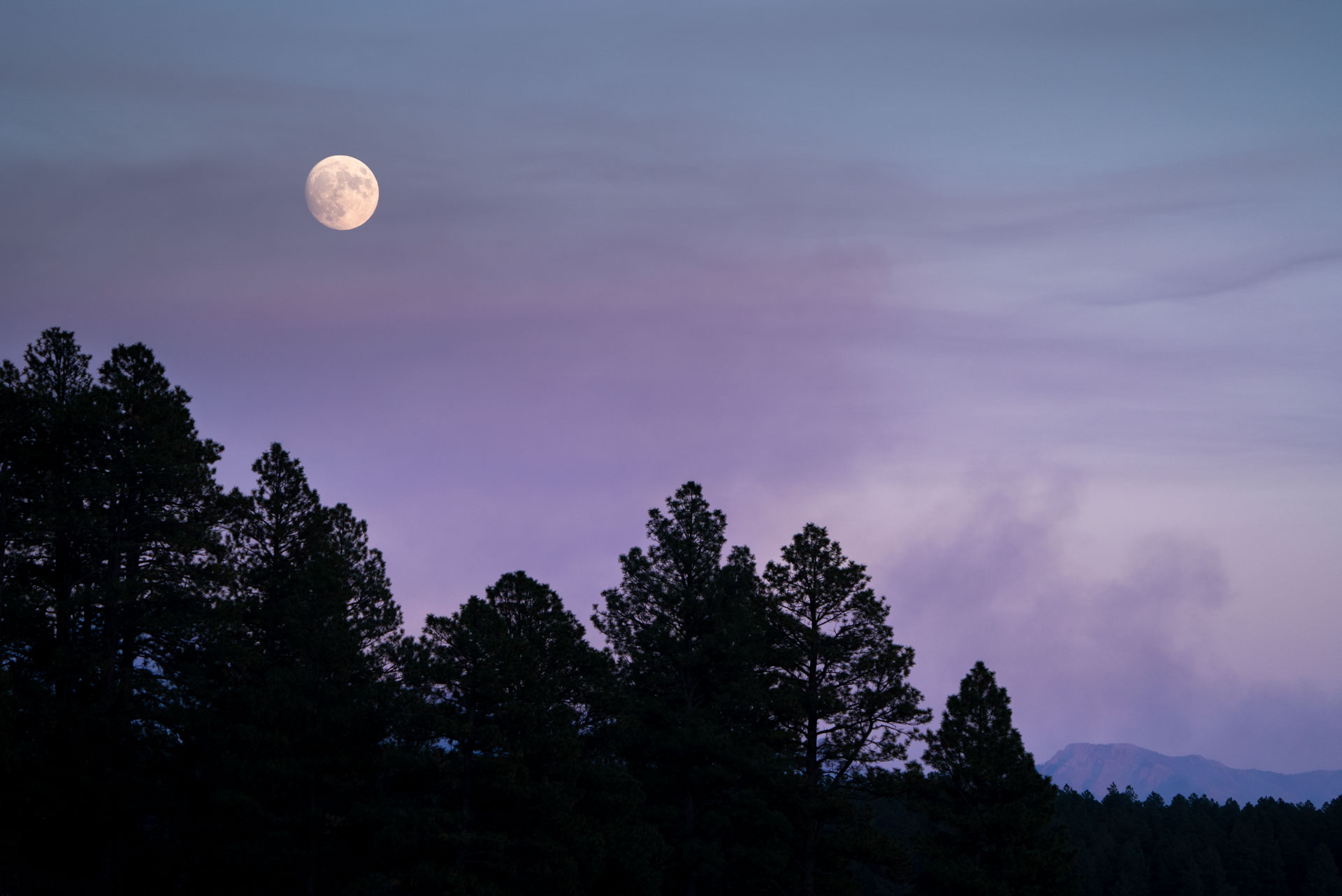 Moonrise with a Purple Sky