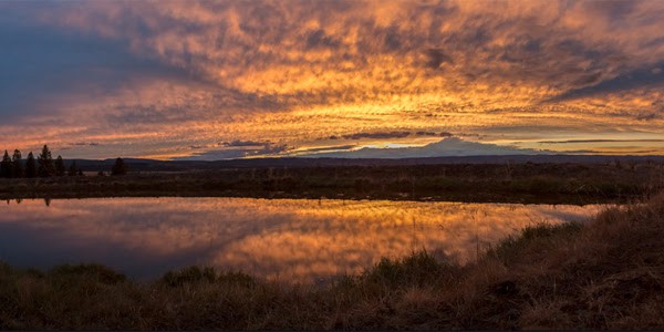 Hunting Properties | Elk Song Ranch | Sold Oregon Ranches
