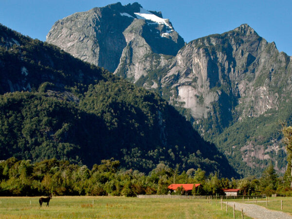 The Lasting Legacy of the Tompkins Conservation Movement in Patagonia