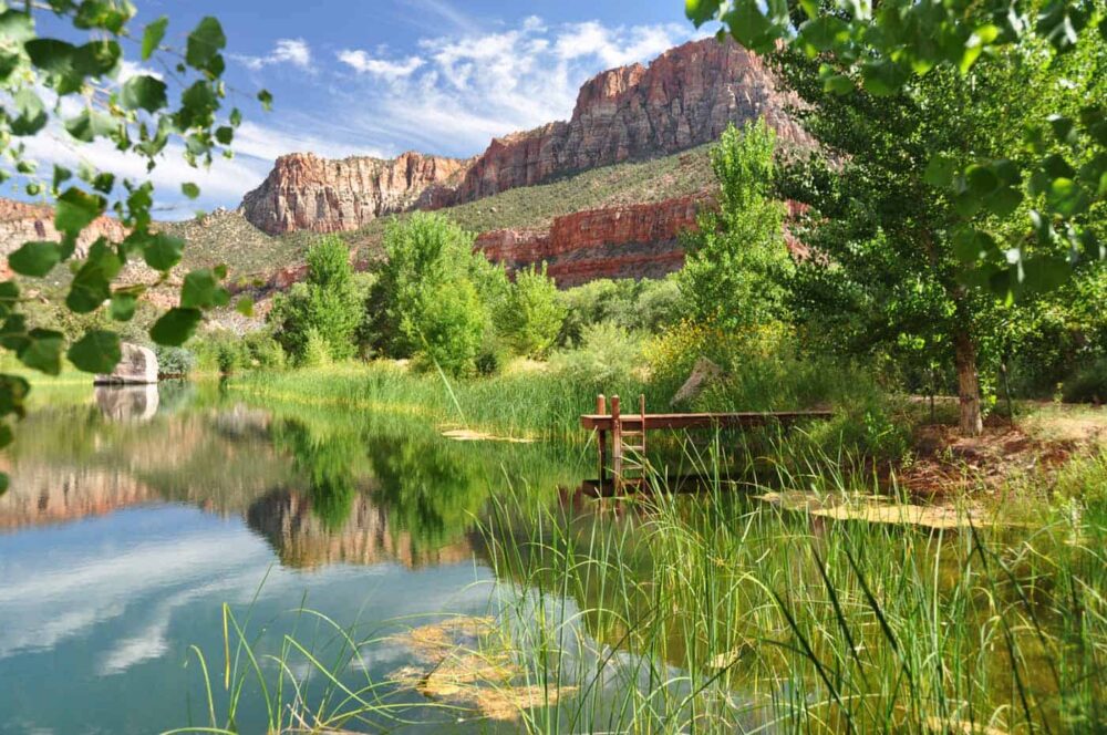 Trees Ranch, Utah