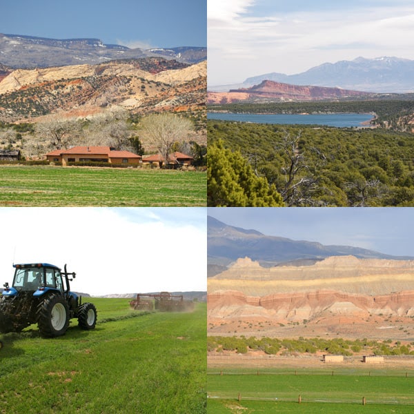 Sandy Ranch | Utah Cattle Ranches