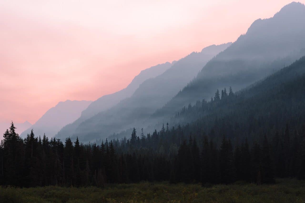 wildfire