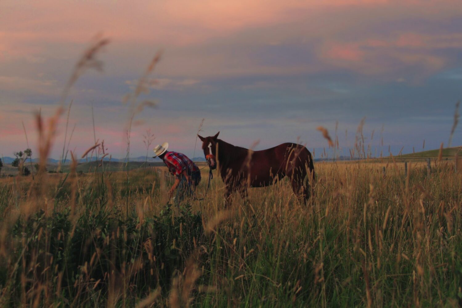 wyoming-open-spaces-and-ranching-places-article-scaled