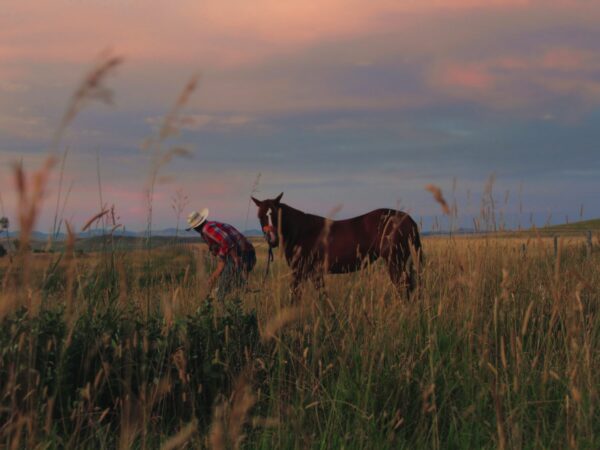 Open Spaces & Ranching Places