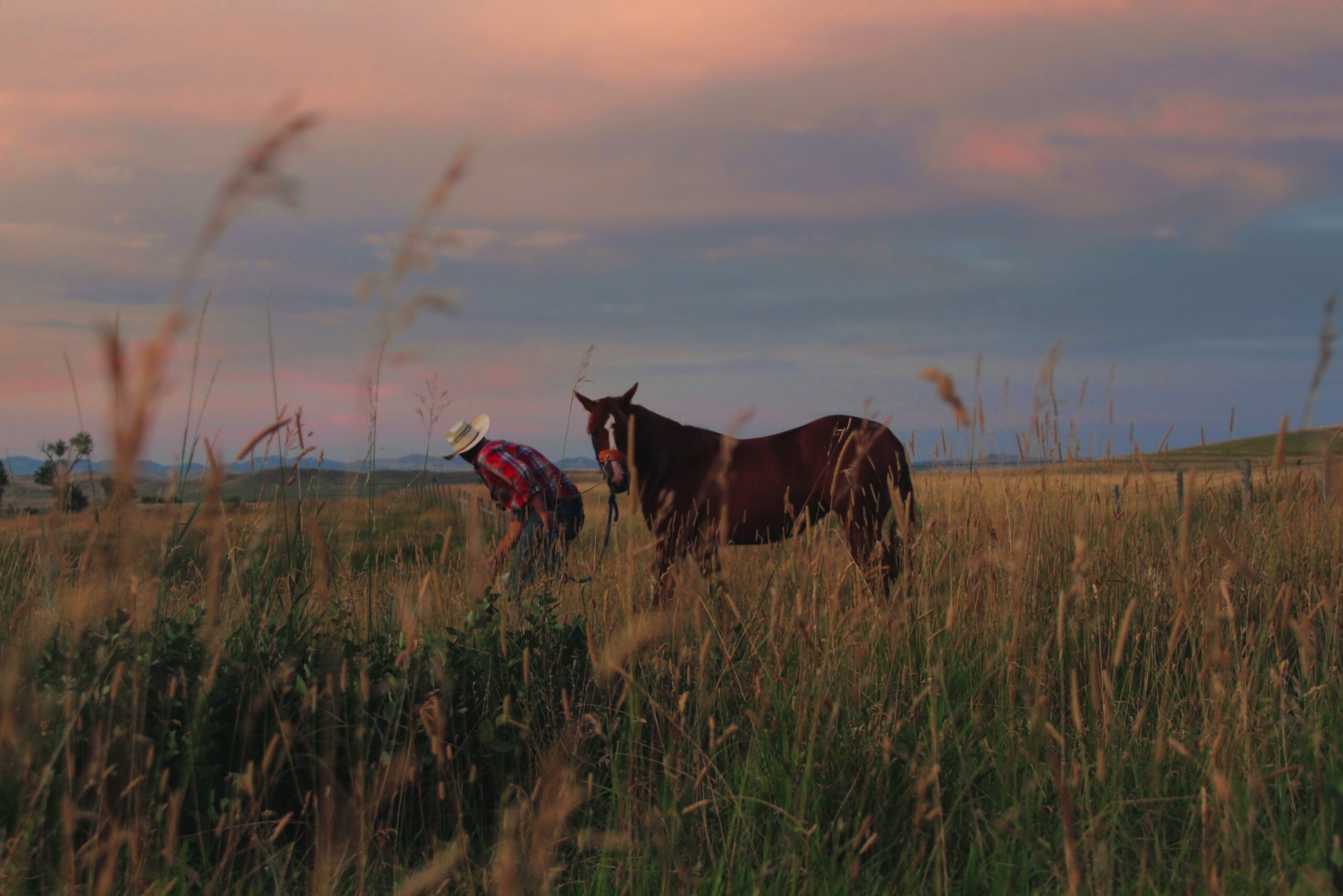 wyoming-open-spaces-and-ranching-places-article-scaled