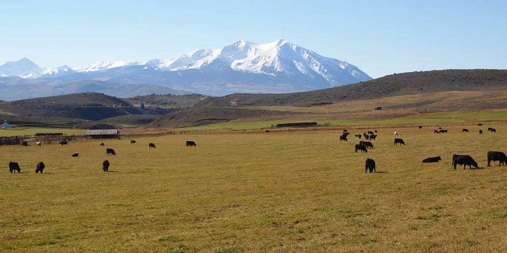 Coulter Valley Ranch | Agricultural land for sale 