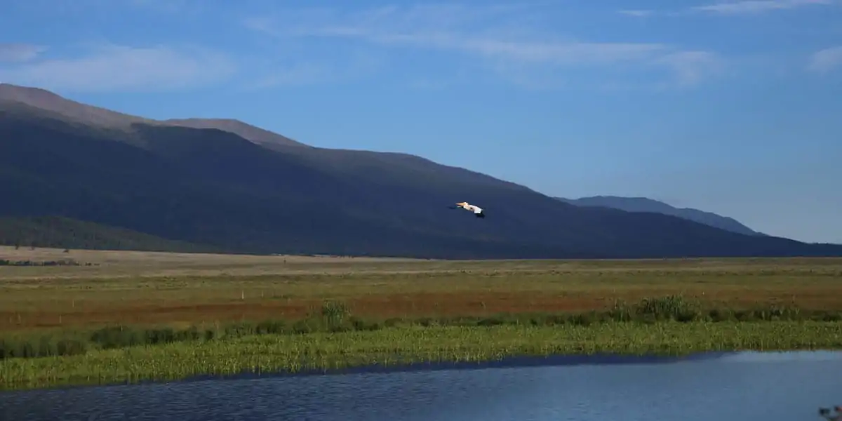 Beckwith Ranch | Ecological Values
