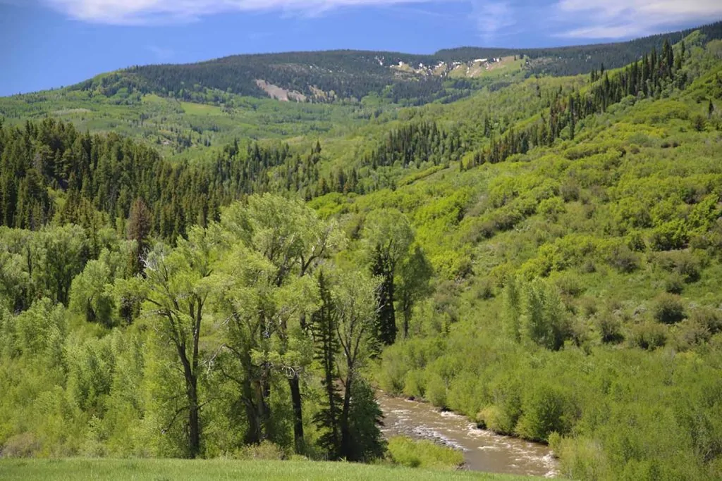 Egry Mesa Ranch | Colorado ranches near Steamboat