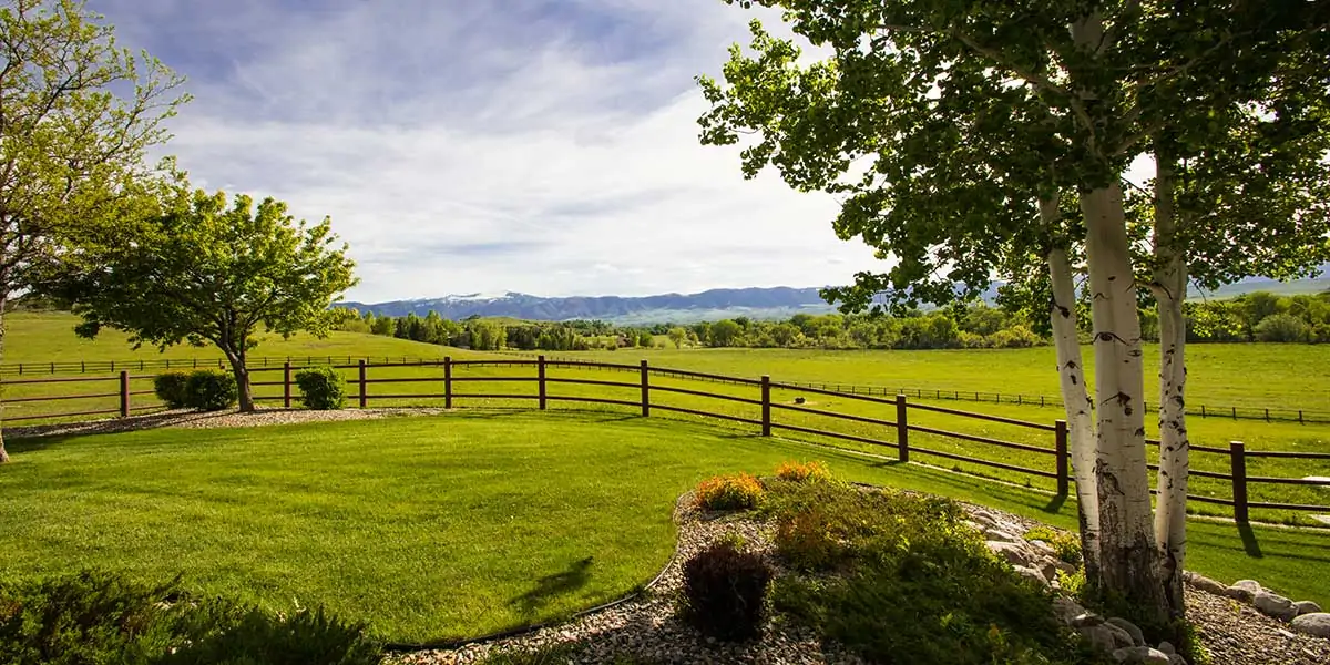 YO Equine Ranch