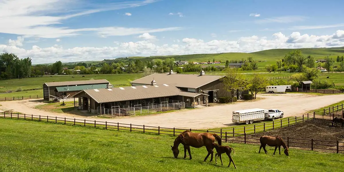 YO Equine Ranch