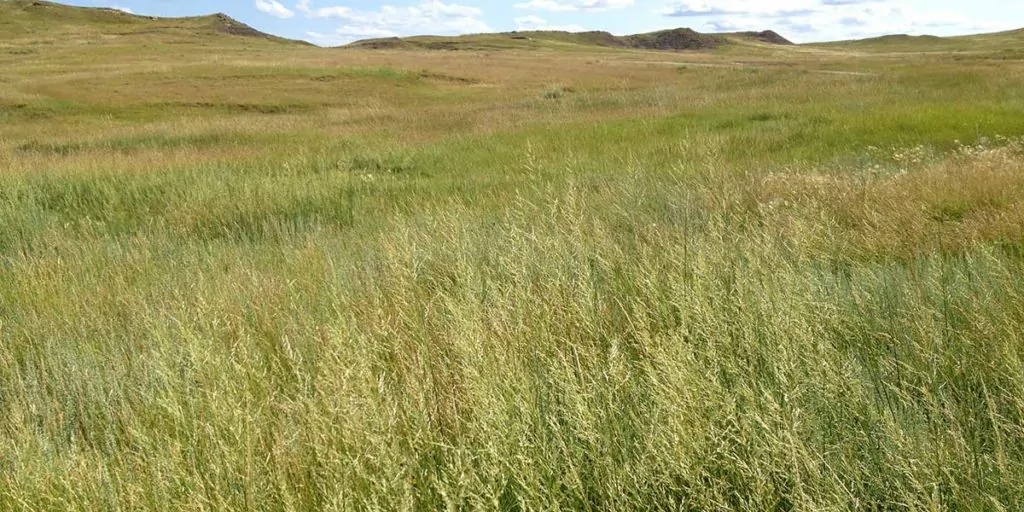 Investment | Grasslands at Antelope Springs Ranch