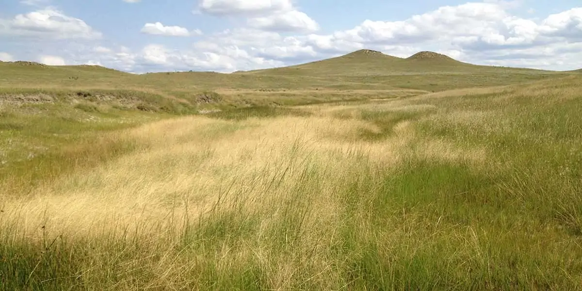 Antelope Springs Ranch