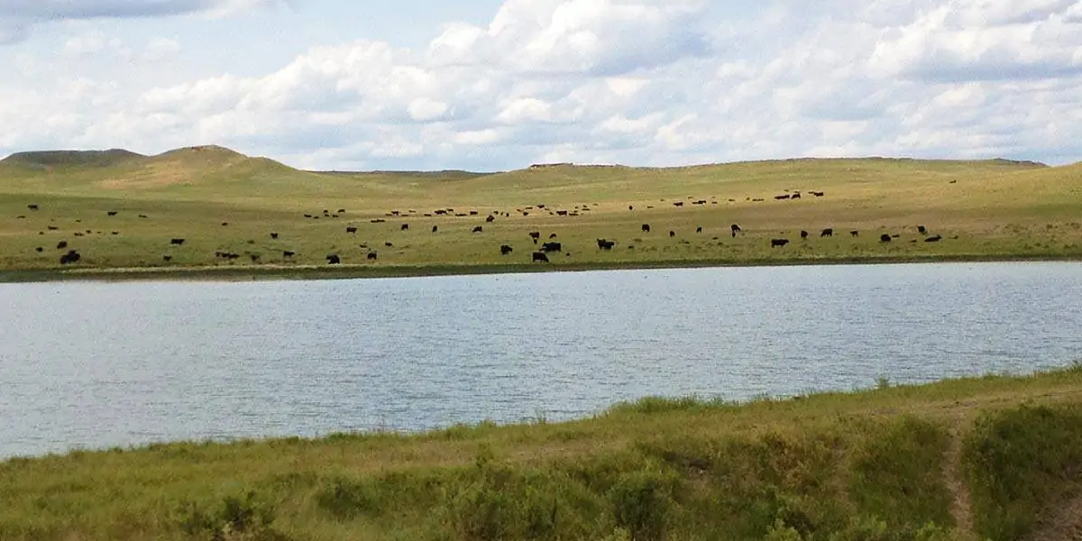 Antelope Springs Ranch