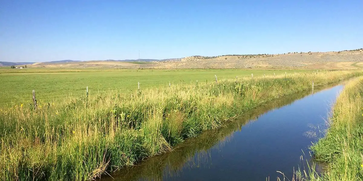 Strawberry Creek Ranch | Senior Water Right