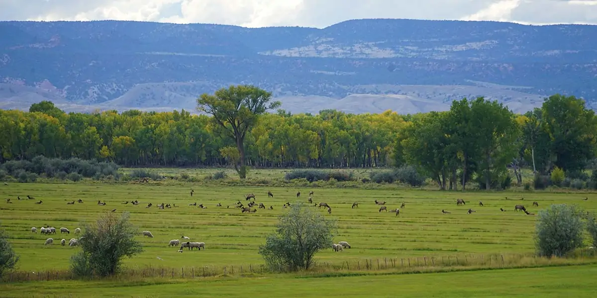 Cross Mountain Ranch