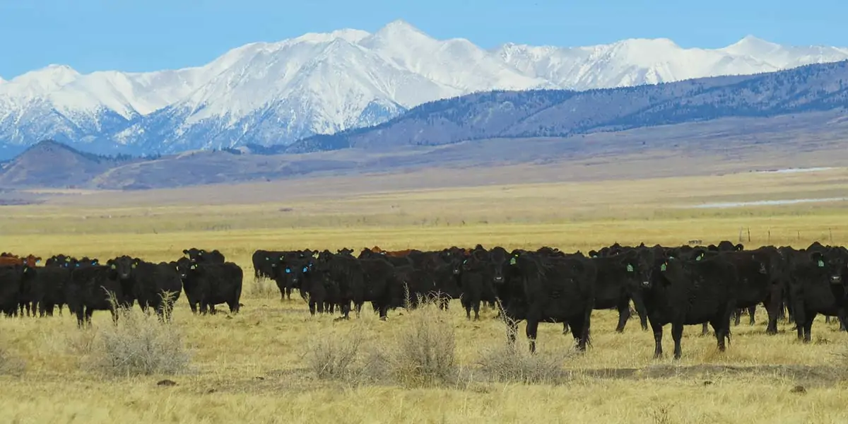 North San Luis Valley Portfolio