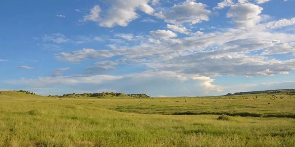 Red Top Ranch | Agricultural land for sale 
