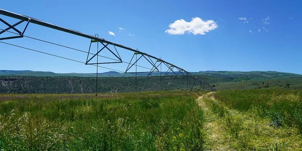 Diamond C Ranch | Agricultural land for sale 