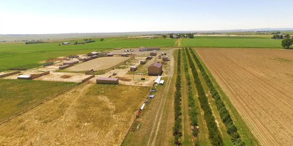 Bellis Road Acreage | Agricultural land for sale