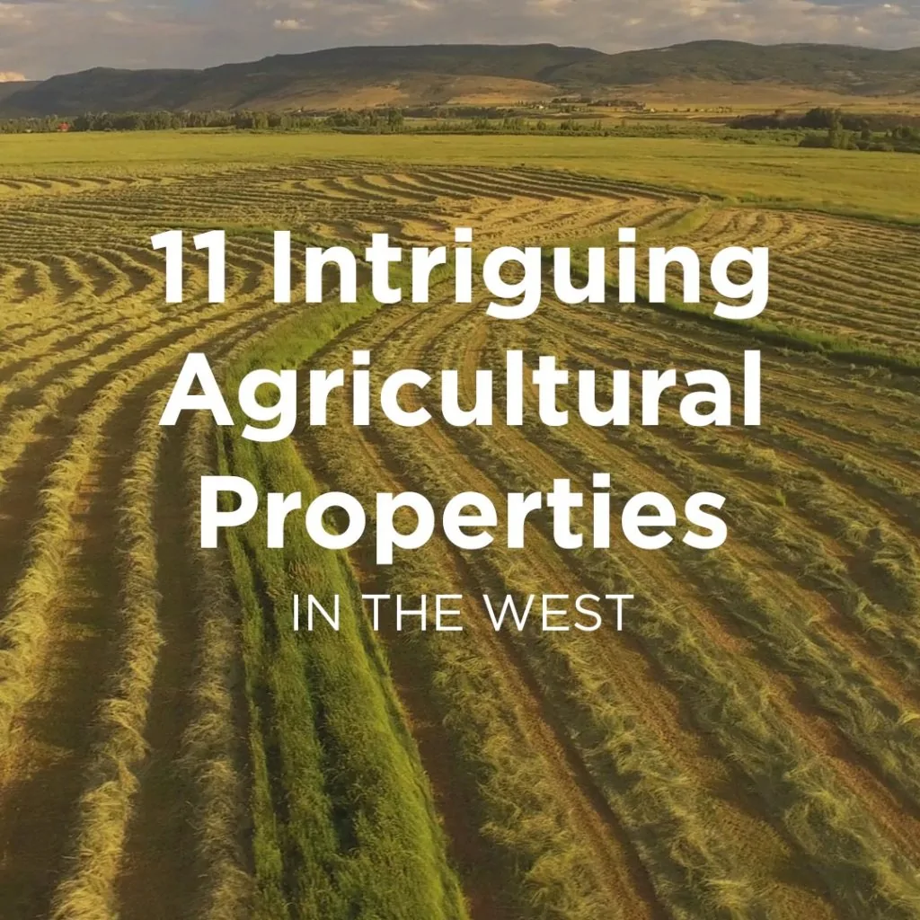 Agricultural land for sale 