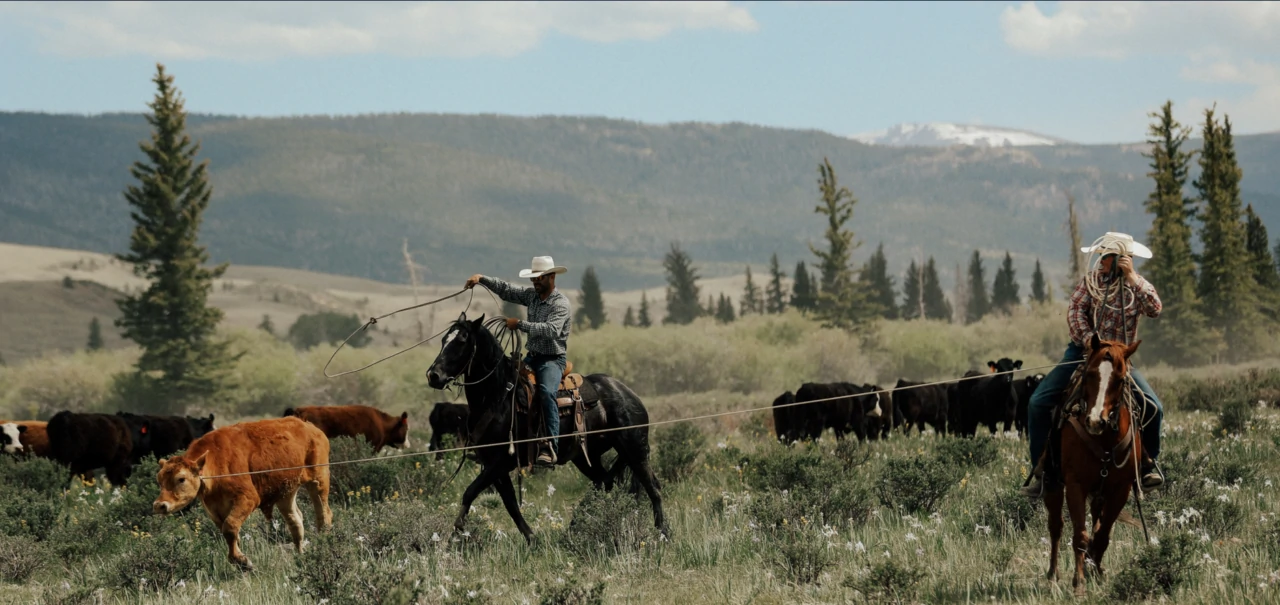 Ranch Services