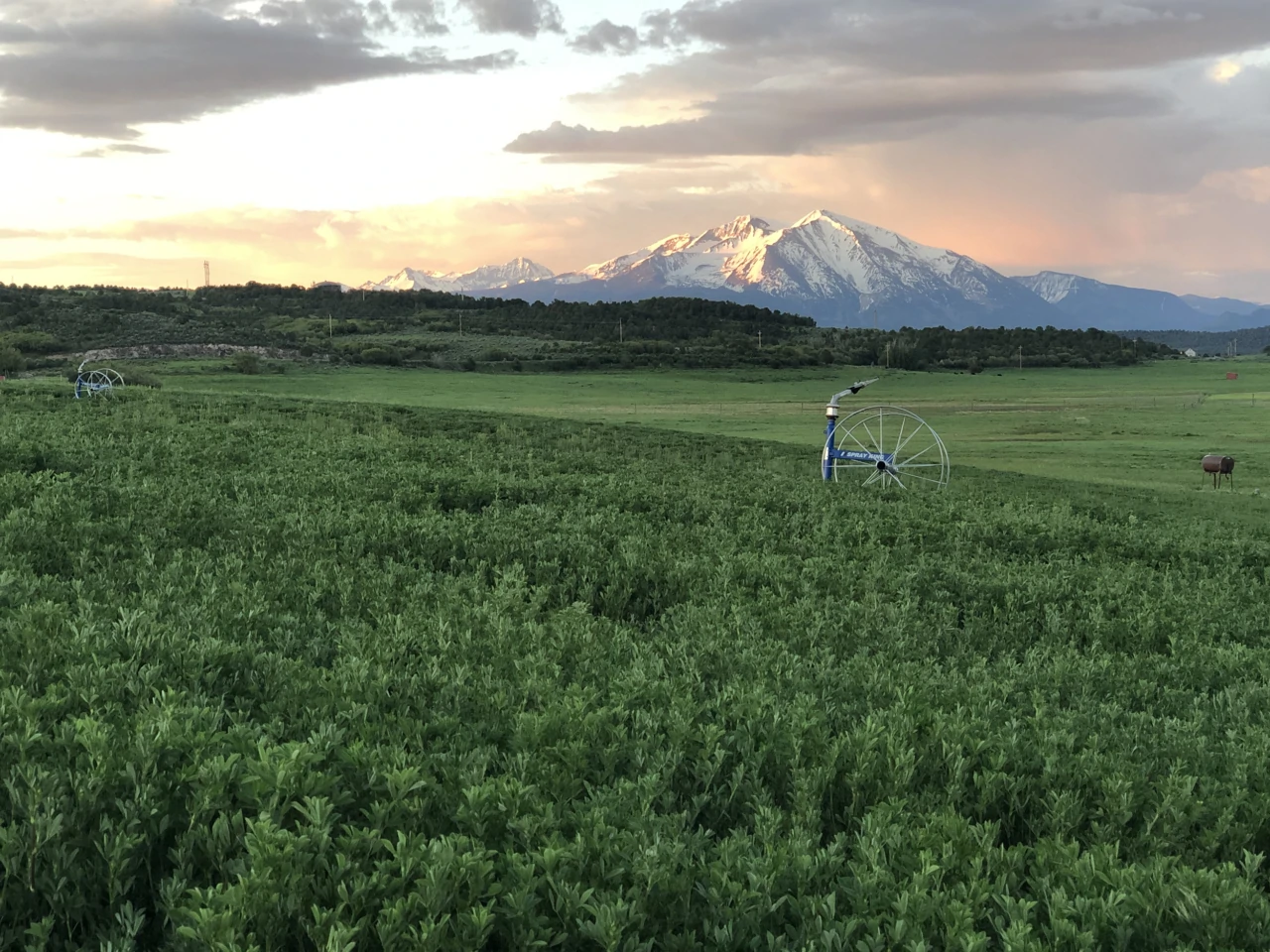 Plus Lazy K Ranch – irrigated meadows and hay fields