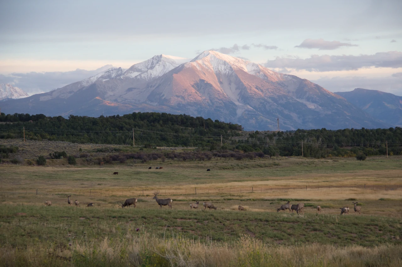 Plus Lazy K Ranch – panoramic valley and mountain view