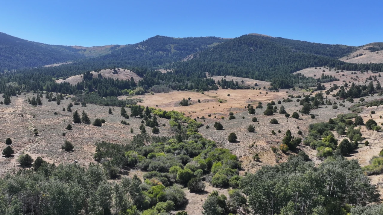 Mirr ranch group photo Rugged highlands and trees on Six-S Ranch estate
