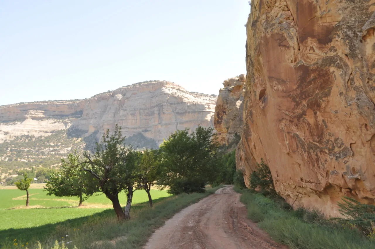 Scenic ranch road beside Mantle Ranch