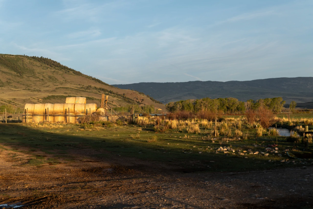 Reeder Creek Ranch horses roaming across scenic Colorado pasture