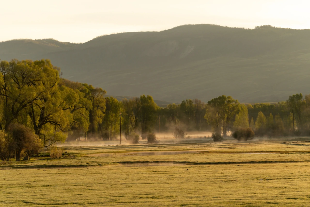 Morning mist over meadows at Reeder Creek Ranch, Colorado