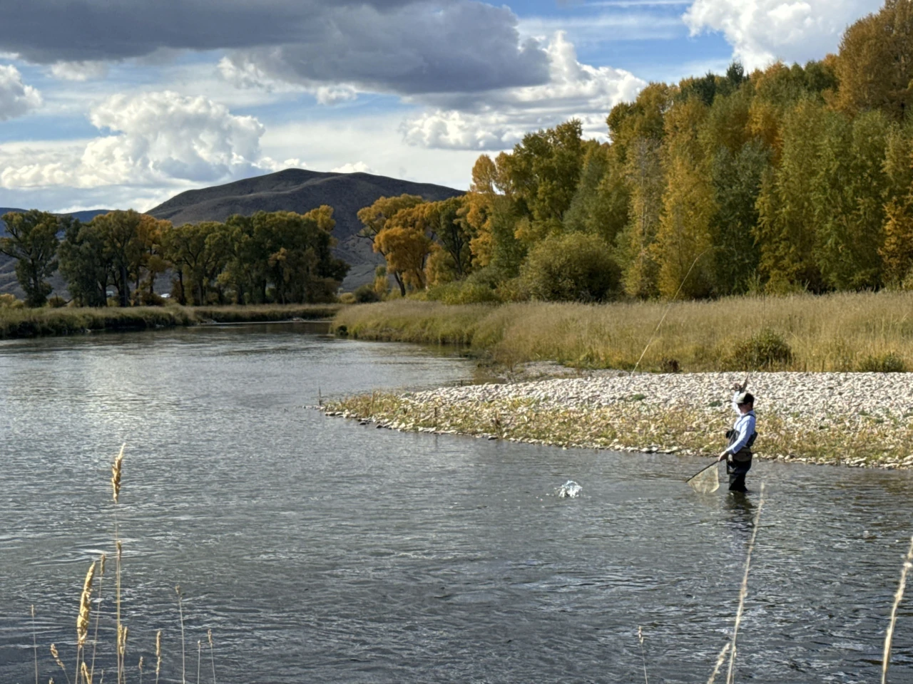 Fly fishing the Upper Colorado River at Reeder Creek Ranch