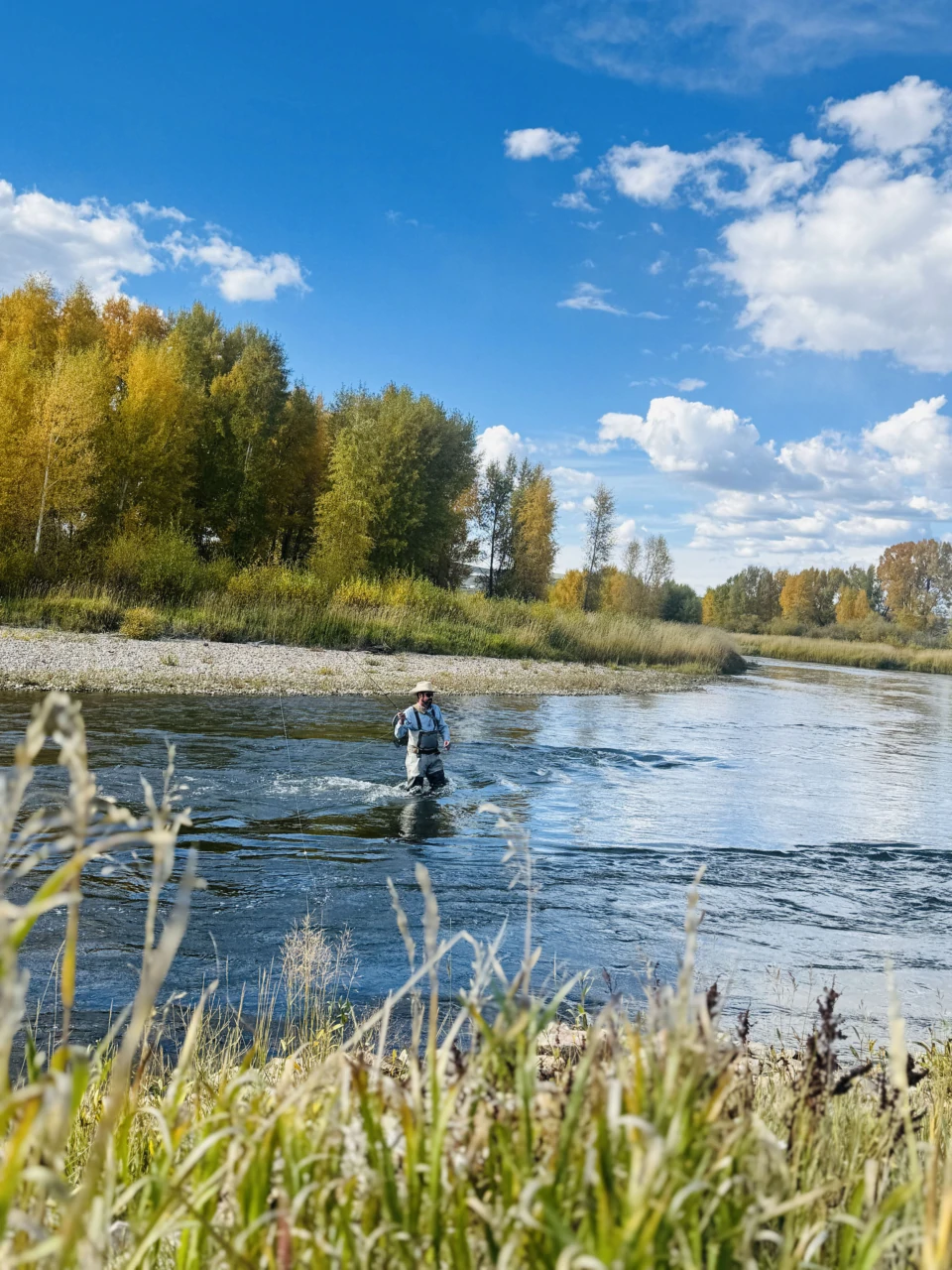 Angler casting in the Colorado River at Reeder Creek Ranch