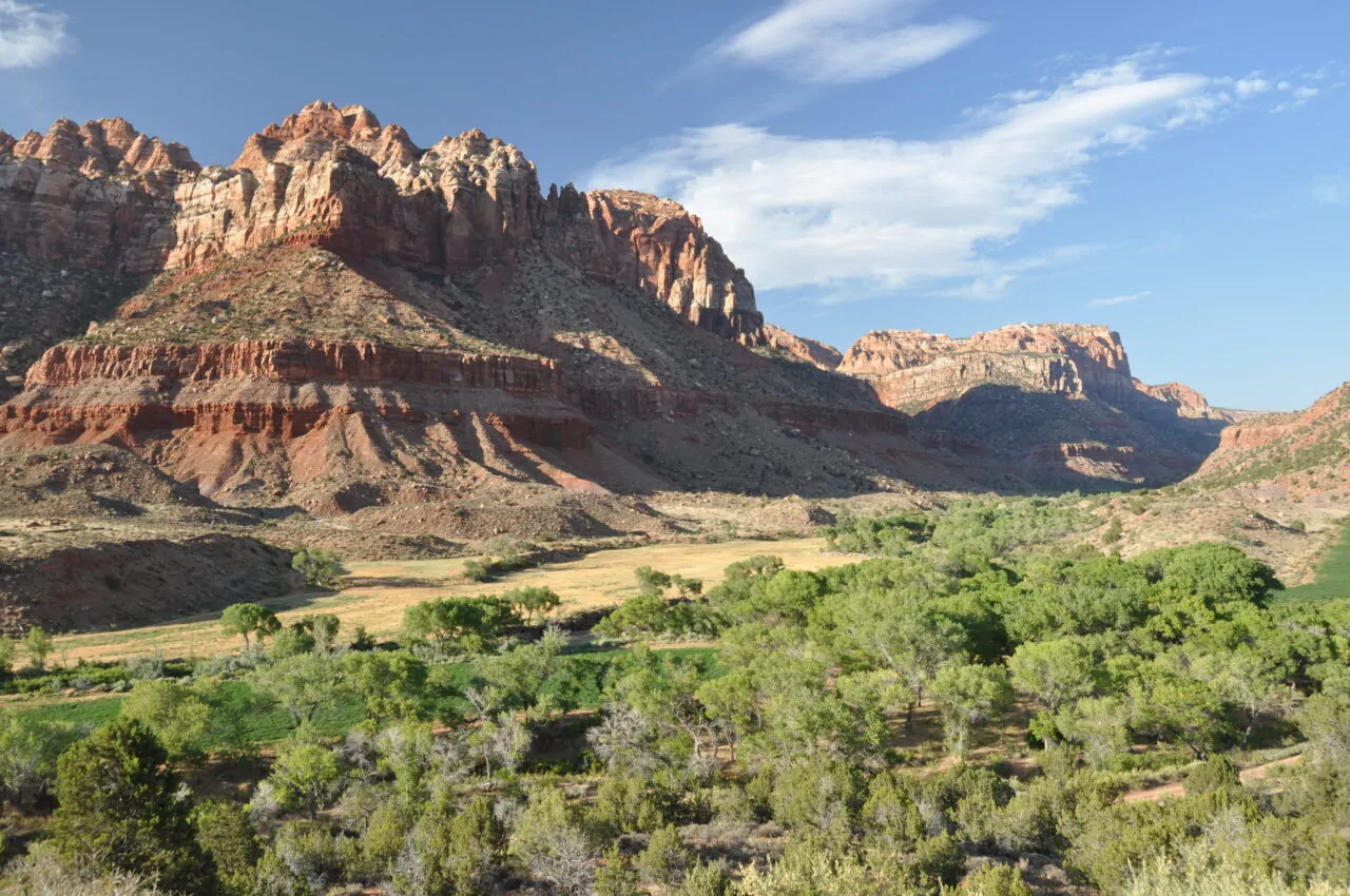 Trees Ranch landscape near Zion | Mirr Ranch Group