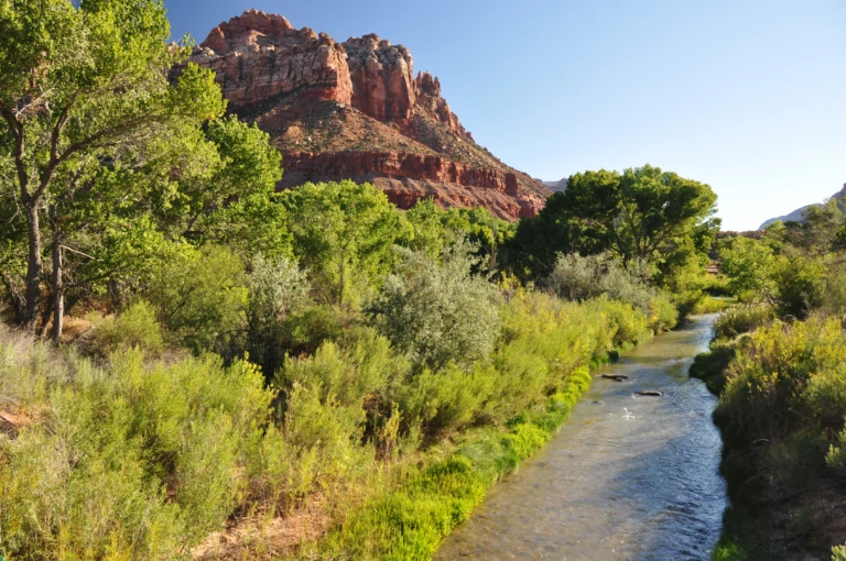 Red cliffs and valley at Trees Ranch | Mirr Ranch Group