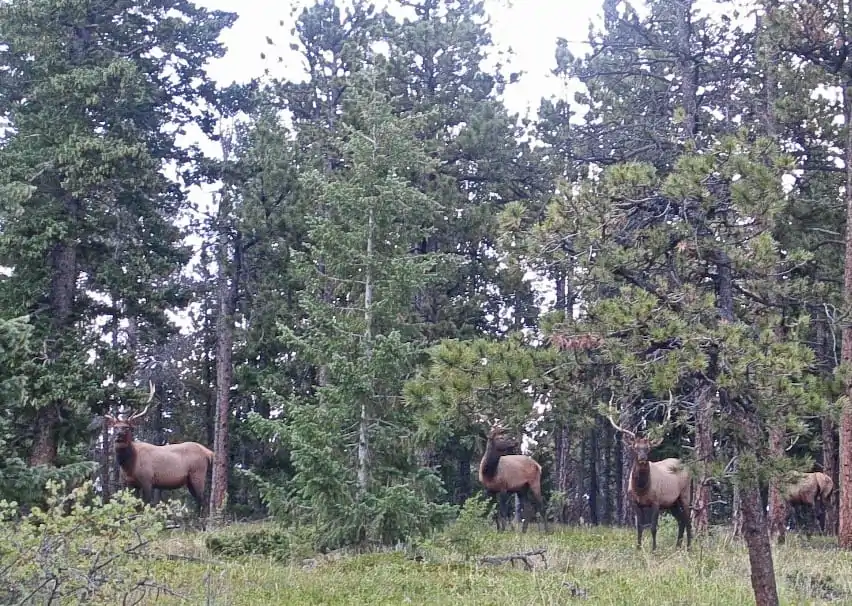 Centaur_Meadows_Ranch-1
