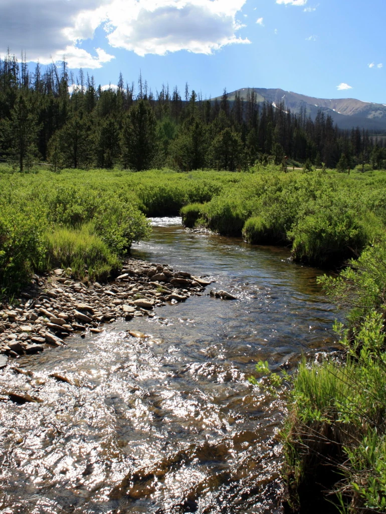 Three Creek