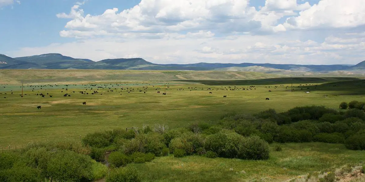 Porcupine Ridge Ranch