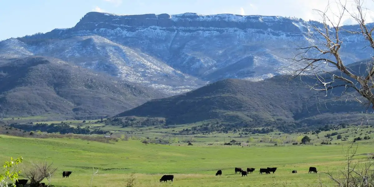 Sandoval Ranch
