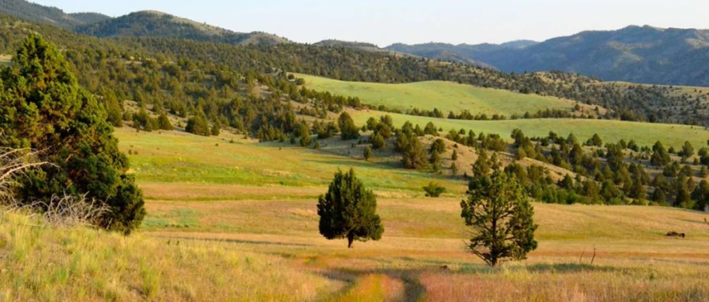 Six Shooter Ranch - Mitchell, Oregon for Sale