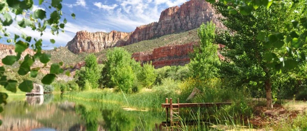 Trees Ranch - Utah