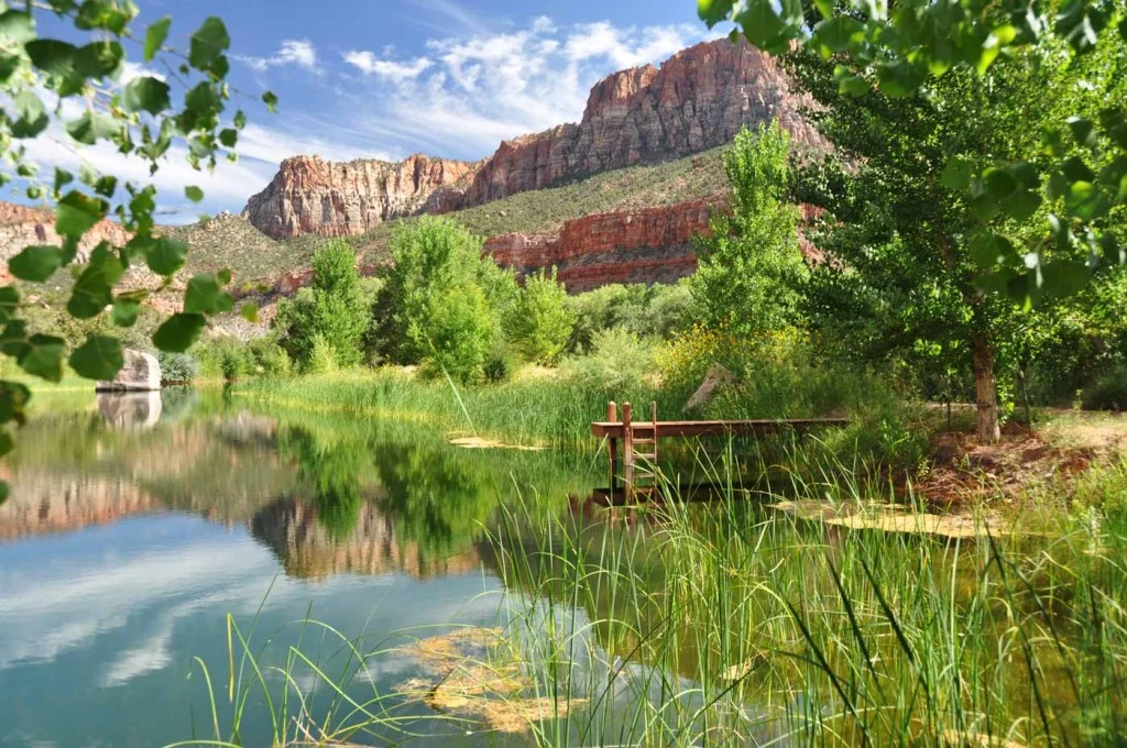 Trees Ranch, Utah