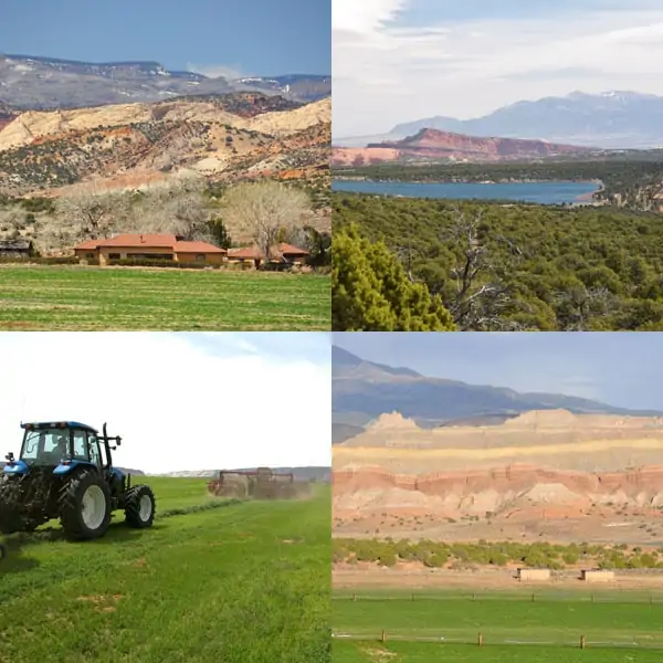 Sandy Ranch | Utah Cattle Ranches